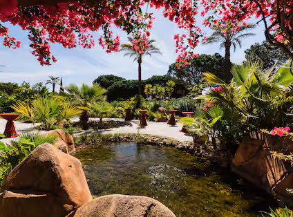 Hilton Vilamoura Faohi Romantic Garden Cocktail Hilton Vilamoura Images from Vilamoura